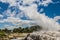 Pohutu Geyser, Rotorua, New Zealand