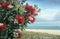 Pohutukawa tree red flowers sandy beach