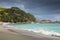 Pohutukawa trees fringe sandy beach