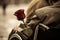 A poignant composition: a fragment of a wheelchair intertwined with a vibrant red rose, symbolizing strength, resilience