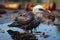 This poignant image captures a bird coated in oil, highlighting the tragic impact of oil spills on wildlife.