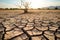 A poignant image of a parched landscape during