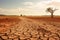 A poignant image of a parched landscape during