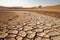 A poignant image of a parched landscape during