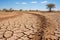 A poignant image of a parched landscape during