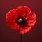 Poignant Red Poppy Flower On Vibrant Background