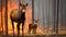 A poignant scene unfolds as a moose cow fiercely guards her calf amidst the searing flames