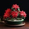 Poinsettia Bonsai: Exquisite Miniature Sculpture With Luminous Petals