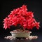 Poinsettia Bonsai: Exquisite Red Petals On A Black Background