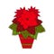 Poinsettia in a clay pot. Euphorbia pulcherrima. Vector illustration. New Year, Christmas. Traditional symbols.