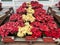 Poinsettia display at The Flower Fields in Spring in Carlsbad, California