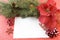 Poinsettia fir branch Christmas card