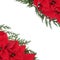 Poinsettia Floral Border