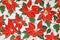 Poinsettia floral pattern