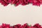 Poinsettia flower frame on the top and the bottom over a white surface - great for framing a picture