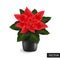 Poinsettia flower isolated on a white background. Realistic Euphorbia pulcherrima. Beautiful Christmas star 3D.