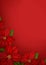 Poinsettia flowers background