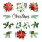Poinsettia Flowers and Christmas Floral Elements in Watercolor Style vector.