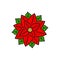 Poinsettia red Christmas flower line icon