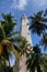 Point Dondra, Lighthouse in Dondra, Sri Lanka. Palm trees and a blue sky.