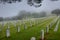 Point Loma Cemetery