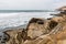 Point Loma Tidepools Eroded Cliffs in San Diego