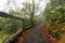 Point Lookout, New England National Park, , AU