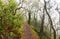 Point Lookout, New England National Park, AU