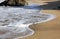 Point Montana, California: Birds on Beach