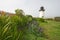 Point Montara Fog Signal and Light Station with flowers