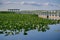 Point pelee national park boardwalk