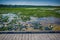 Point Pelee national park boardwalk in the summer, Ontario, Canada