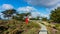 Point Pinos Lighthouse, Pacific Grove, California, USA