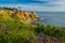 Point Vicente Super Bloom