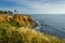 Point Vicente Super Bloom