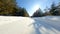 Point of view: driving on country snow-covered track along the trees in the morning sunny time