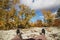 Point of view feet in sneakers in white reindeer lichen in tundra. Man hiker relaxing in wonderful place. Harmony with