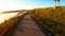 Point of view of  skateboarder cruising