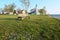 Pointe aux Barques Lighthouse, built in 1848