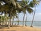 Pointe de Dahoua Beach Ivory Coast Africa