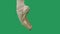 Pointe shoes professional ballet shoes on green screen. Ballerina legs dance.