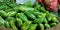 Pointed gourd fresh green vegetables kept into the farmers goods store