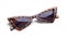 Pointed Leopard Sunglasses Folded