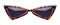 Pointed Leopard Sunglasses Front
