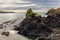 The pointed rock at Abereiddy Beach in the afternoon with beautiful clouds.