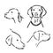 Pointer hunting dog sketch, contour vector illustration