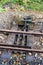 Points in narrow gauge railway track