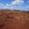 Poipu Kauai desert graveyard