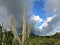 Poipu during Sunny and Rainy Day with Rainbows in November on Kauai Island, Hawaii.