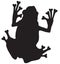 Poison Dart Frog Silhouette on White Background.